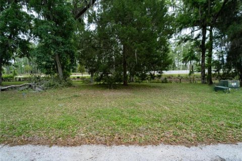 Land in Wildwood, Florida № 2275511