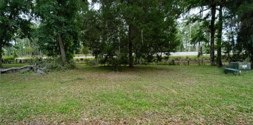 Land in Wildwood, Florida № 2275511