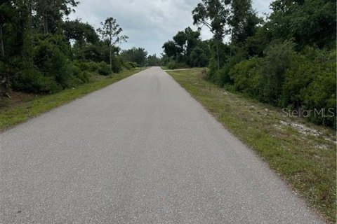 Land in Punta Gorda, Florida № 2164959 - photo 3