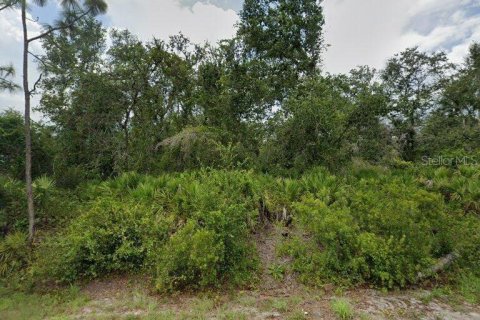 Land in Punta Gorda, Florida № 2164959