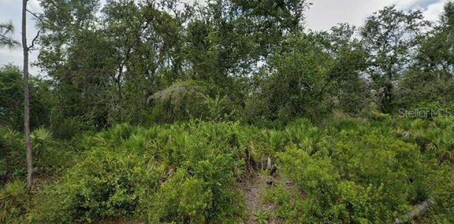 Land in Punta Gorda, Florida № 2164959