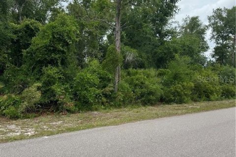 Land in Punta Gorda, Florida № 2164959 - photo 4
