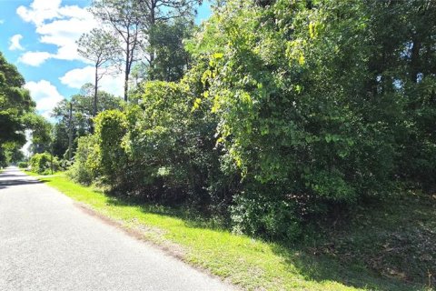 Land in Ocala, Florida № 2196858 - photo 3