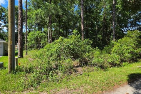 Land in Ocala, Florida № 2196858 - photo 2