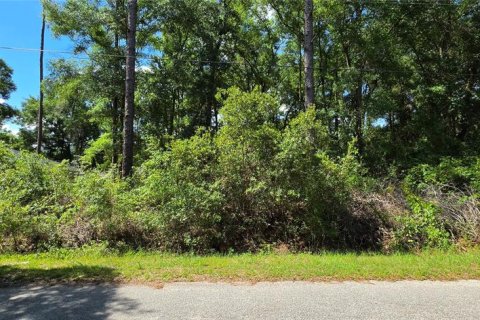 Land in Ocala, Florida № 2196858