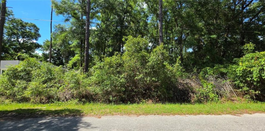 Land in Ocala, Florida № 2196858
