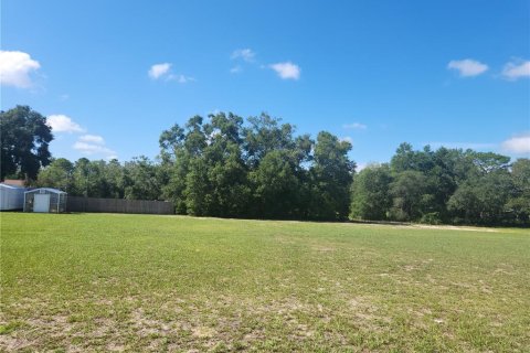 Terrain à Dunnellon, Floride № 2159201