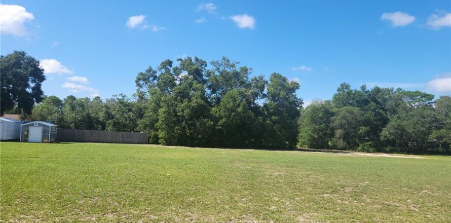 Terrain à Dunnellon, Floride № 2159201