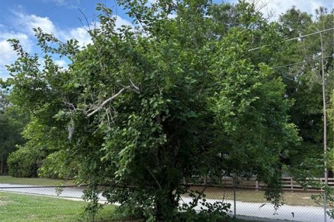 House in Apopka, Florida 4 bedrooms, 156.26 sq.m. № 2116292 - photo 6