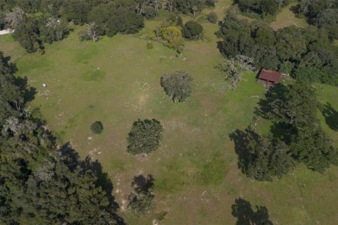 Land in Thonotosassa, Florida № 1394146 - photo 5
