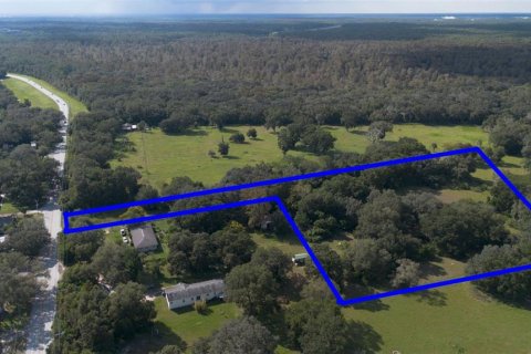 Land in Thonotosassa, Florida № 1394146 - photo 4