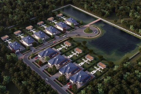 Land in Thonotosassa, Florida № 1394146 - photo 3