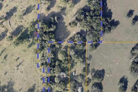 Land in Thonotosassa, Florida № 1394146 - photo 8