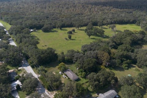 Land in Thonotosassa, Florida № 1394146 - photo 7