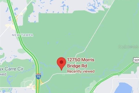 Land in Thonotosassa, Florida № 1394146 - photo 10