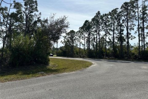 Land in Port Charlotte, Florida № 1038541 - photo 2
