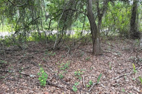 Land in Lehigh Acres, Florida № 2213396 - photo 6