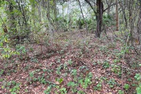 Land in Lehigh Acres, Florida № 2213396 - photo 4