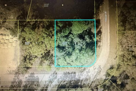 Land in Lehigh Acres, Florida № 2213396 - photo 7