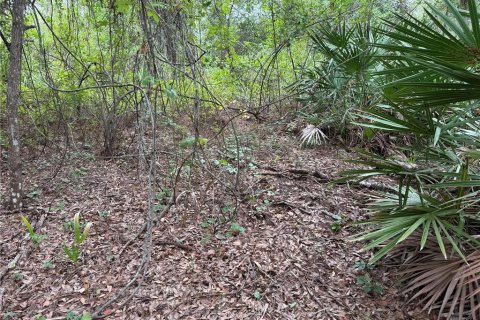 Land in Lehigh Acres, Florida № 2213396 - photo 5