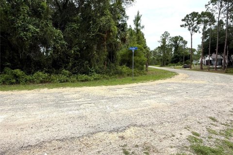 Terreno en Lehigh Acres, Florida № 2213396