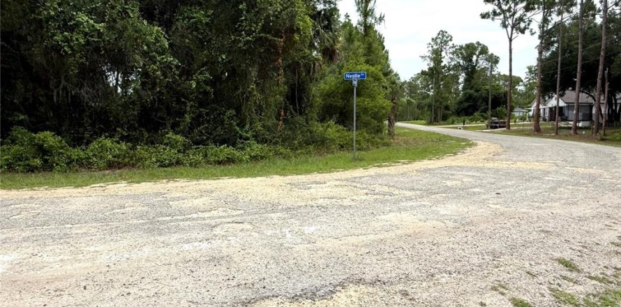 Land in Lehigh Acres, Florida № 2213396
