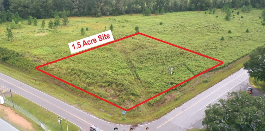 Commercial property in Caryville, Florida № 558472