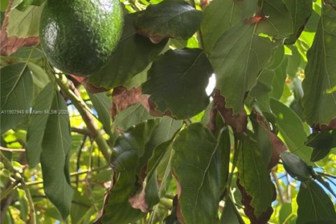 Apartment in Miami Beach, Florida 1 bedroom, 68.75 sq.m. № 1964153 - photo 14