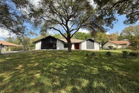 Villa ou maison à Weeki Wachee, Floride 3 chambres, 207.26 m2 № 2102224