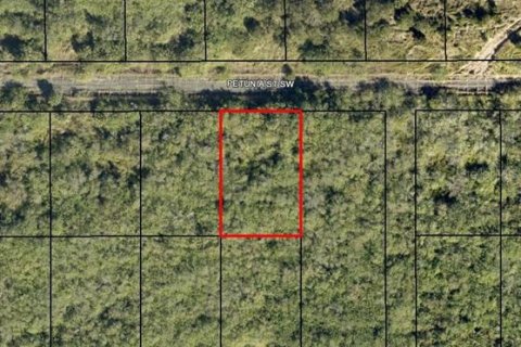 Land in Palm Bay, Florida № 2364441