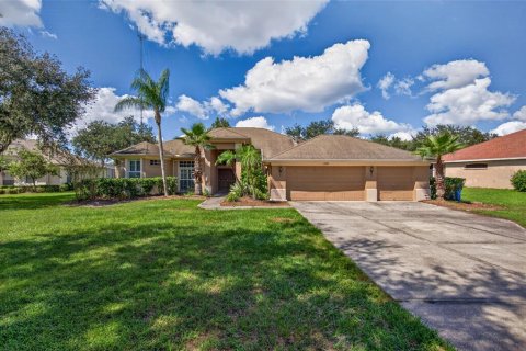 Villa ou maison à Riverview, Floride 5 chambres, 284.37 m2 № 2416701