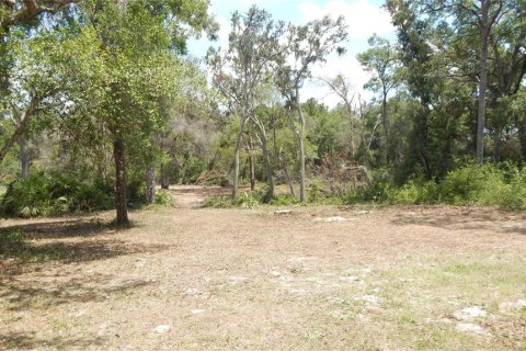 House in Dade City, Florida 3 bedrooms, 121.89 sq.m. № 1744567 - photo 9