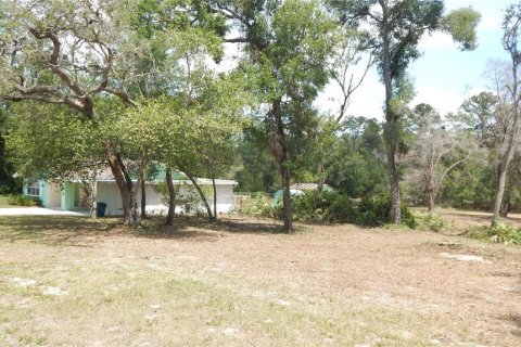 House in Dade City, Florida 3 bedrooms, 121.89 sq.m. № 1744567 - photo 5