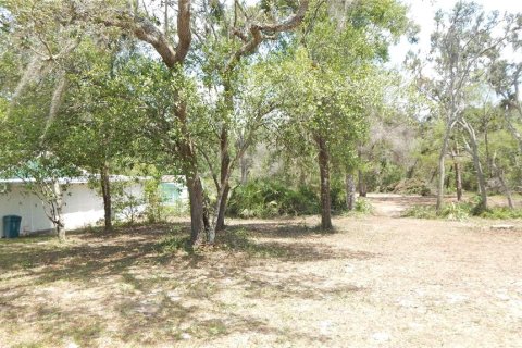 House in Dade City, Florida 3 bedrooms, 121.89 sq.m. № 1744567 - photo 8