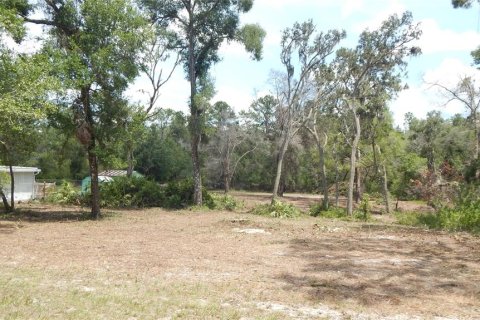 House in Dade City, Florida 3 bedrooms, 121.89 sq.m. № 1744567 - photo 4