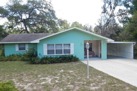 House in Dade City, Florida 3 bedrooms, 121.89 sq.m. № 1744567 - photo 11