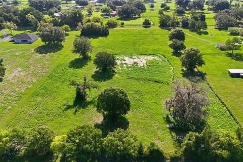 Terrain à vendre à Ocala, Floride № 2299763 - photo 6