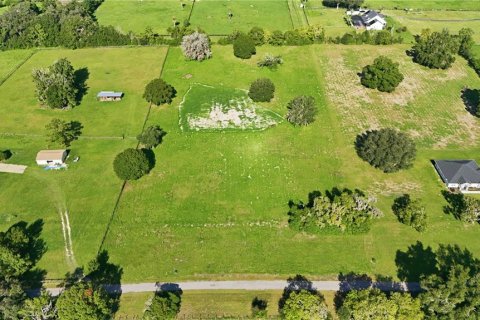 Terrain à vendre à Ocala, Floride № 2299763 - photo 3