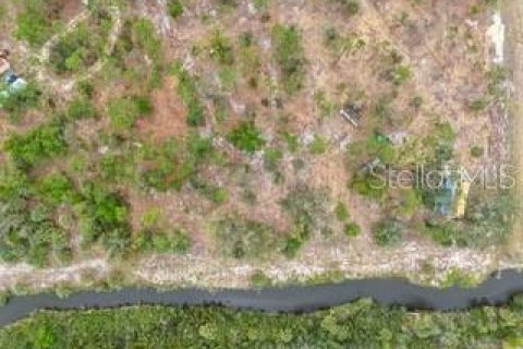 Land in Punta Gorda, Florida № 1791442 - photo 5