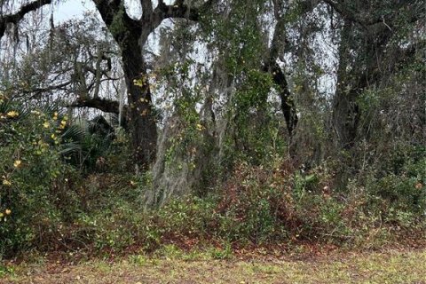 Terreno en venta en Pierson, Florida № 1553918 - foto 2