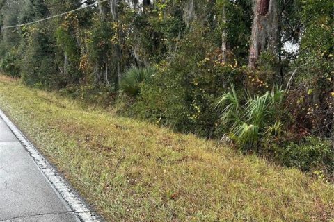 Terreno en venta en Pierson, Florida № 1553918 - foto 1