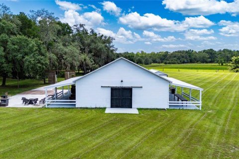 Land in Bushnell, Florida № 2209772