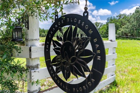 Land in Bushnell, Florida № 2209772 - photo 2
