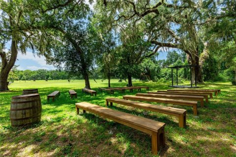 Land in Bushnell, Florida № 2209772 - photo 29