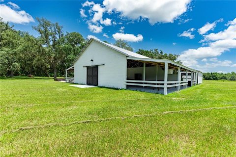 Land in Bushnell, Florida № 2209772 - photo 25
