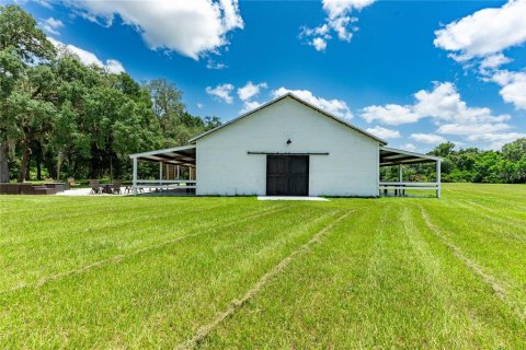 Land in Bushnell, Florida № 2209772 - photo 24