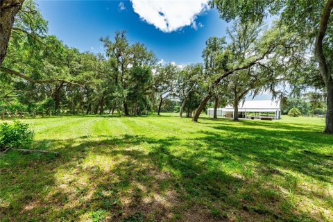Land in Bushnell, Florida № 2209772 - photo 30