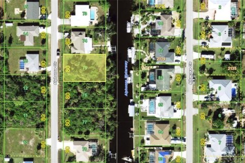 Land in Port Charlotte, Florida № 1906064 - photo 4