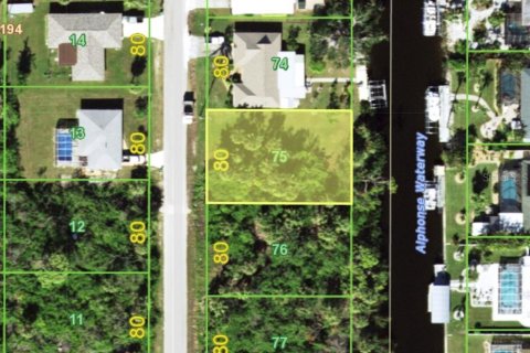 Land in Port Charlotte, Florida № 1906064 - photo 1