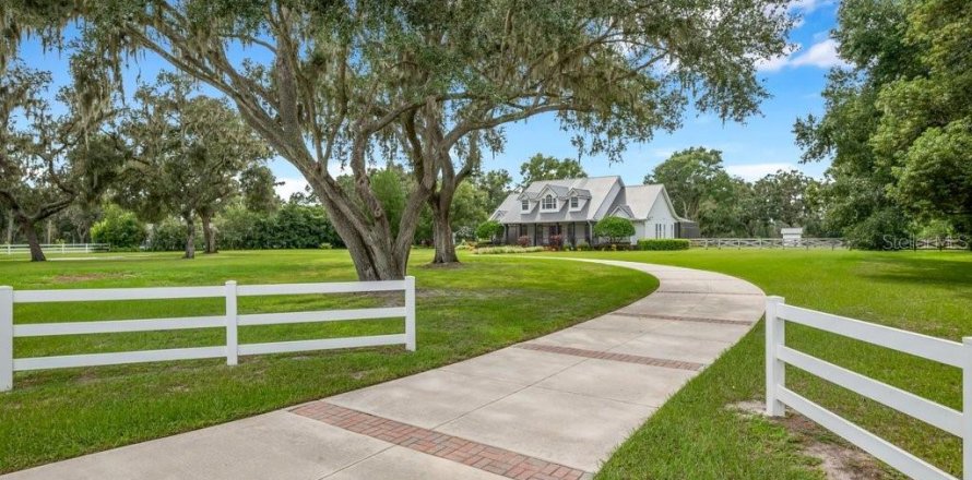 Villa ou maison à Fish Hawk, Floride 5 chambres, 356.19 m2 № 1899177